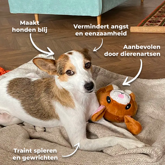 DogSpin Garantie voor plezier | Je hond Verveelt zich Nooit meer